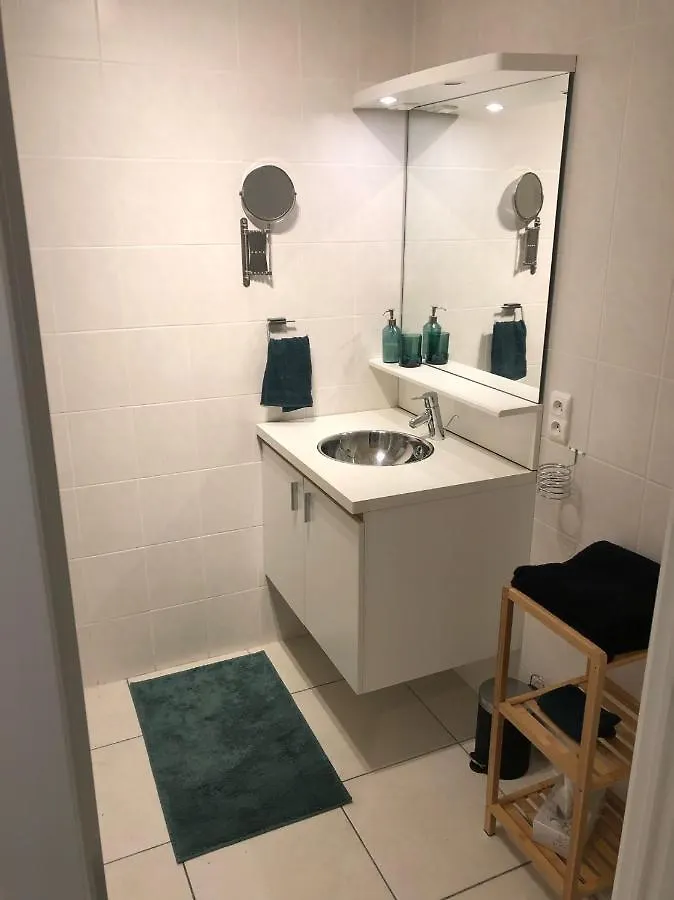Volledig Gerenoveerd 2 Slaapkamer Appartement In Westende-Bad, 250 M Van Het Strand België