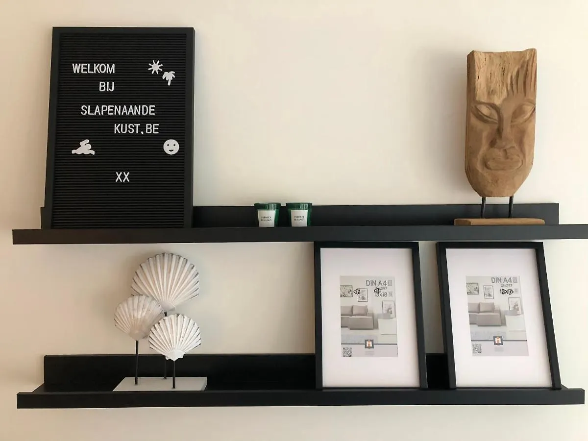 Volledig Gerenoveerd 2 Slaapkamer Appartement In Westende-Bad, 250 M Van Het Strand Westende-Bad