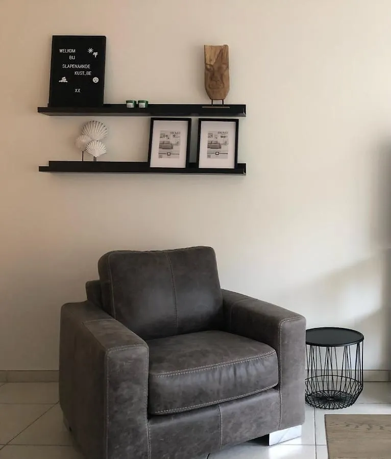 Volledig Gerenoveerd 2 Slaapkamer Appartement In Westende-Bad, 250 M Van Het Strand